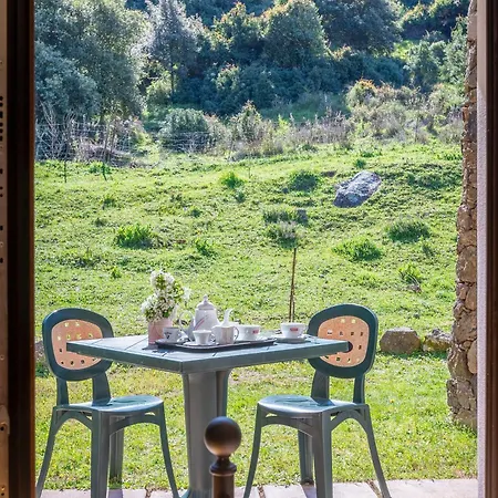 Con Piscina- La Fattoria Σπίτι διακοπών *